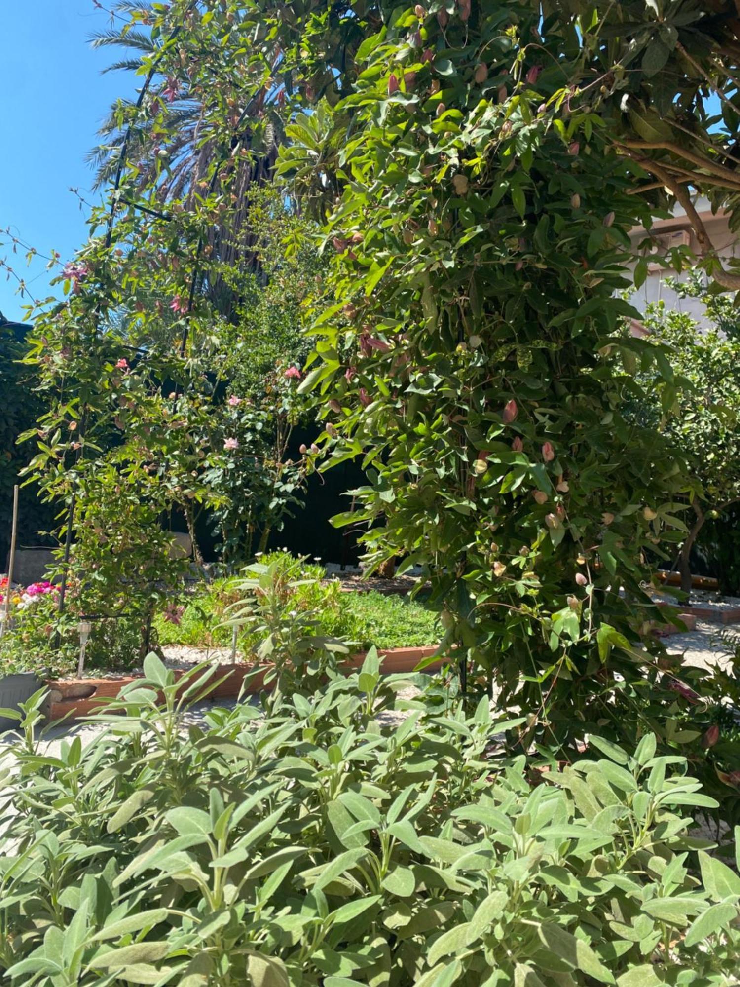 Tesori Del Sinis Villa Càbras Eksteriør billede